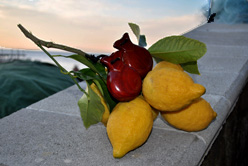 Sorrento tarantella