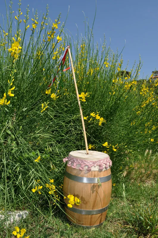 Dancer playing the putipù in a field of broom