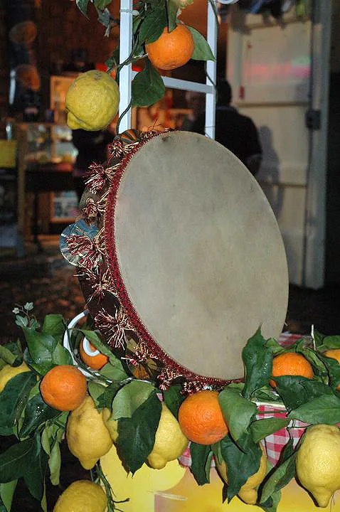 Tammorra among citrus fruit